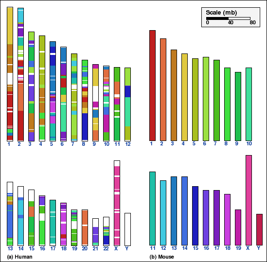 compare two gene sequences